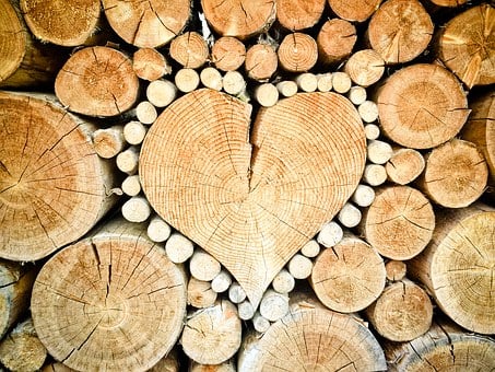 Láska k dřevu